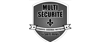 multi_securite